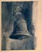 cloche2